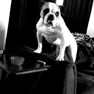 Meet your Posher, Randa